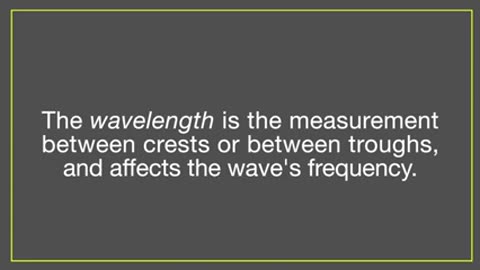 The Physics of Waves: Transverse