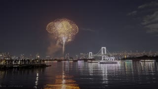 Tokyo Bay Fireworks - End of 2022