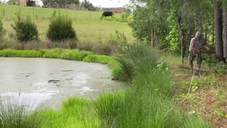DIY Natural Pond Clean Up... Doing it ALL NATURAL….