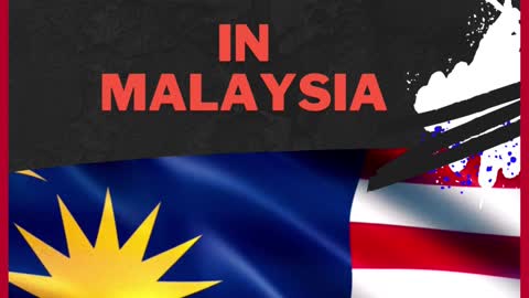 Top Copy Trading Forex Brokers In Malaysia - Live Forex Trading