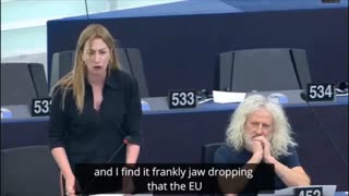 MEP Dublin about the NORDSTREAM2