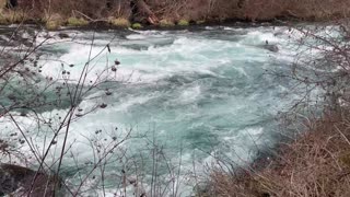 Endlessly Hugging Metolius River – Central Oregon