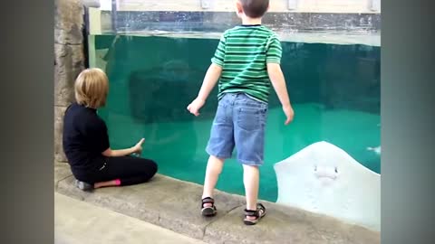 Funny Kids at the Aquarium - Girl SPOOKED By A Beluga Whale!