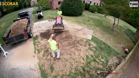 Stump Grinding Time Lapse Video