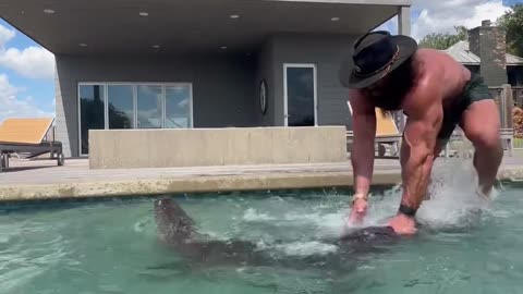 Liver King plays with a Gator!