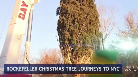 ROCKEFELLER CHRISTMAS TREE JOURNEYS TO NYC
