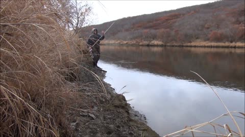 Grayling Fishing In Alaska with yukonjeff