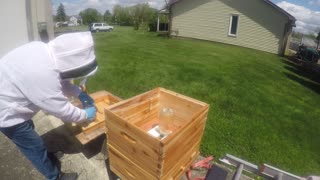 April 24, 2024 Hive Inspection Part II