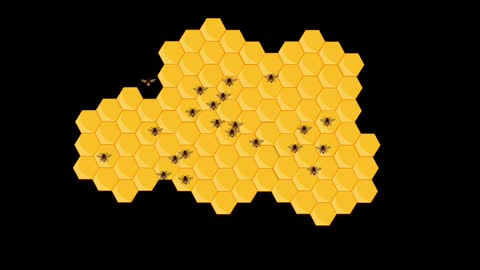 Honey Bee Bees Honey Insect Food Animal Honeycomb