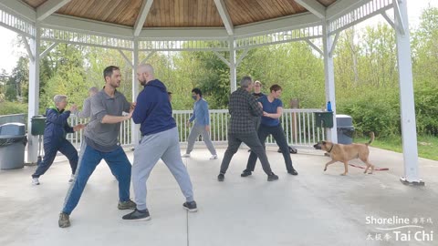 World Tai Chi and Qigong Day Conference