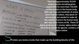 The truth about Proteins. Proteins is in every living thing.