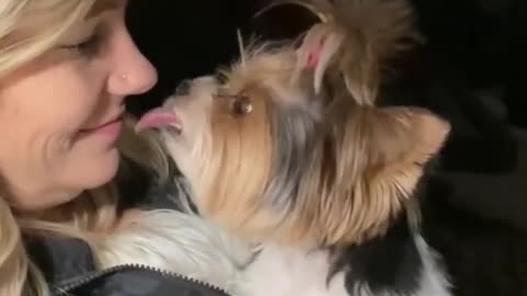 Owner kissing dog