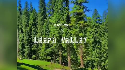 Kashmir Leepa Valley Kashmir Pakistan