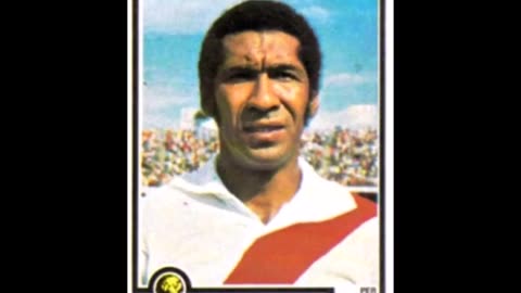 PANINI STICKERS PERU TEAM WORLD CUP 1978