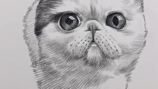 Amazing Pencil Drawing 3D Art Cat 2023