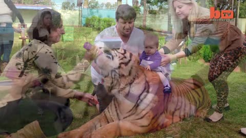 Living With Tigers Family Share Home With PET Tigers