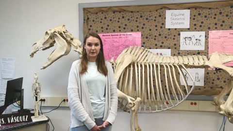 Equine & Animal Science @ MOBOCES