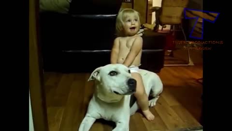 Bayi lucu dan anjing lucu