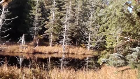 Hunting the unnamed lake in Alaska