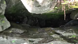 Ritter Springs Cave Exploration