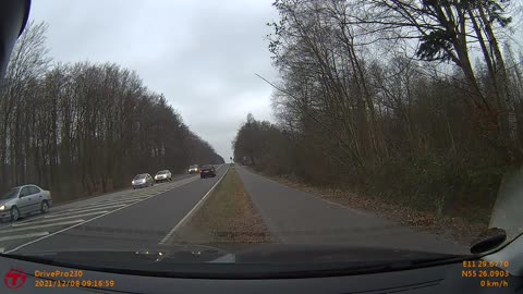 Rotted Tree Falls, Bruising Car