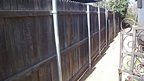 Wood fence with round galvanized steel posts and brackets