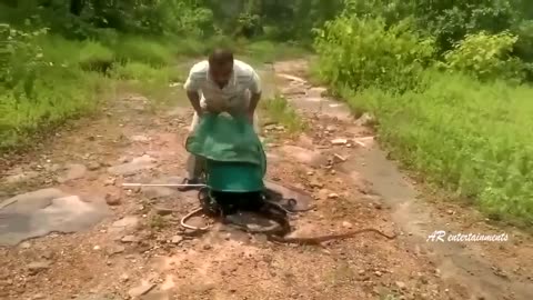 Releasing a bag full of snakes into the wild.