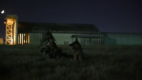 39th Security Forces MWD and Black Cat Training