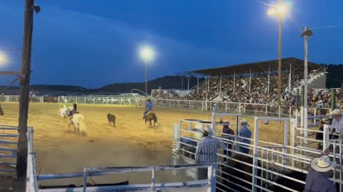 Horse Trips and Sends Cowboy Flying at Rodeo