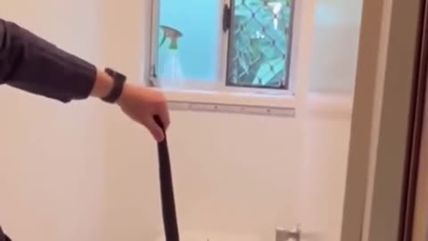 A snake catcher was called to remove a redbellied black snake froma bathroom in Queensland