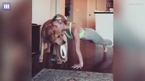 Playful dogs makes push-ups impossible for his very patient owner