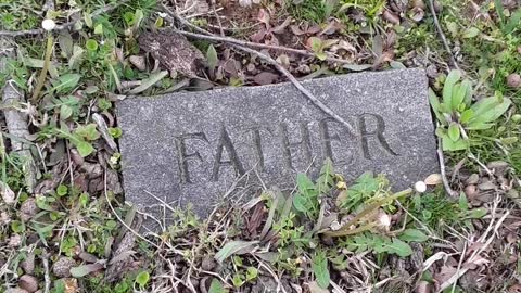 Father on a tombstone and a huge tree grew over the grave site.