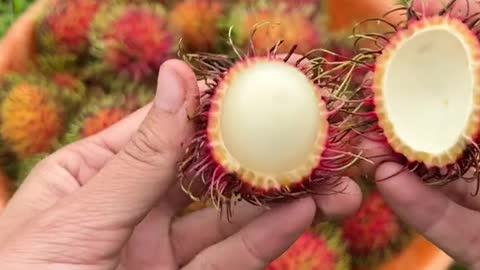 Rambutan. Related to lychee and tastes the same.