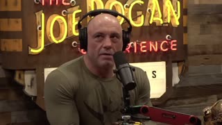 Joe Rogan: Jordan Peterson Was RIGHT About WOKE Insanity!! He Saw This Coming From Miles Away