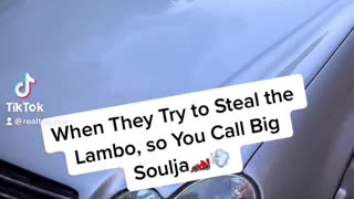 When They Try to Steal Lamborghini