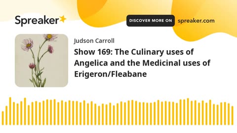 Show 169: The Culinary uses of Angelica and the Medicinal uses of Erigeron/Fleabane