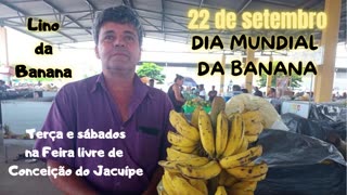 Sábados e terças é dia ir a Lino da Banana na feira de Conceição do Jacuípe: Dia Mundial da Banana