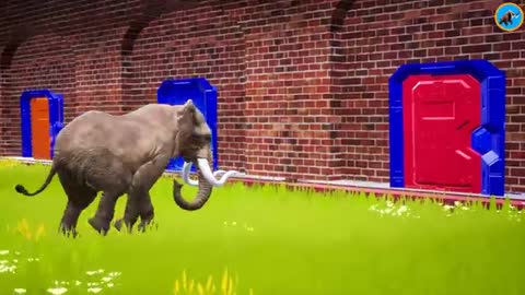 Cow Tiger Mammoth Elephant Bull Buffalo vs Scary Teacher Choose The Right Door Game Funny Videos_Cut