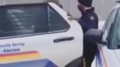 Canadian arrested for waving a flag
