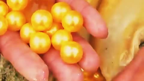 Golden pearls ✨ what the hell 😳