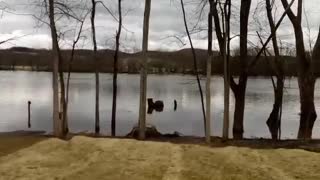 Boat Launch Park between Stillwater New York and Schuylerville on Rt 4.