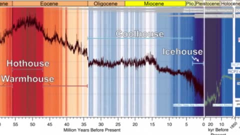 Whales long extinct were terrifying