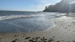 Relaxing Beach Time, soothing waves, and bright sun.