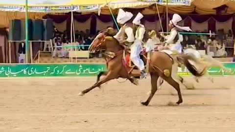 Tent peging in Pakistan.