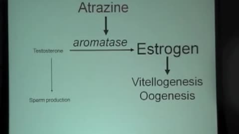 Dr. Tyrone Hayes Speaking on the Herbicide, Atrazine and it's Negative Impact on Public Health