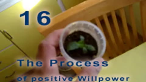 The Positive Process - Chapter 16. Singled out and bullied