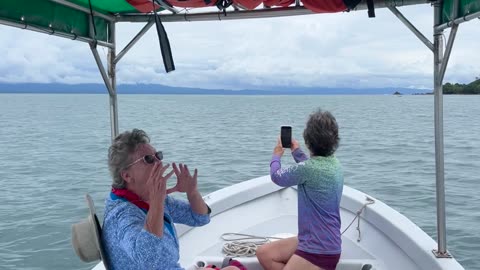 Enthusiastic Tourists React to Whale Sightings