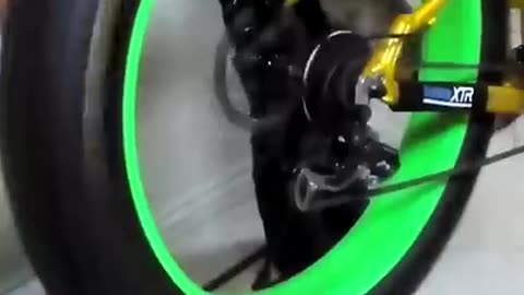Fat Tyre Cycle