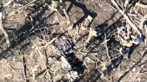 Russian fighters destroyed a Ukrainian DRG