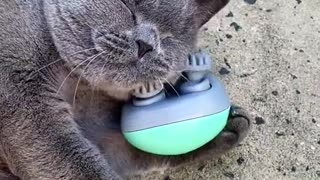 Electric Kitty Heaven